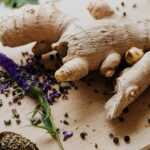 Conseils pour cultiver le laurier – Guide pratique pour cultiver du laurier chez soi